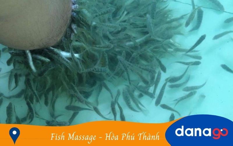Fish Massage tại hòa phú thành Fish Massage tại hòa phú thành